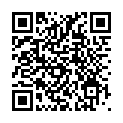 slides-qr-code